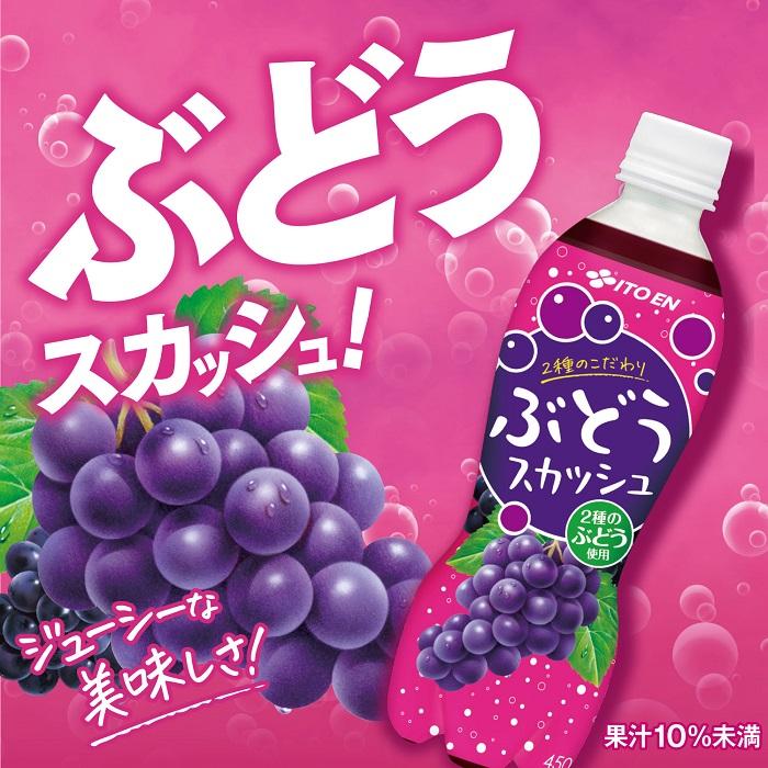 伊藤園 2種のこだわりぶどうスカッシュ 450ml ペットボトル 24本 伊藤園 2種のこだわりぶどうスカッシュ 450ml ペットボトル 24本