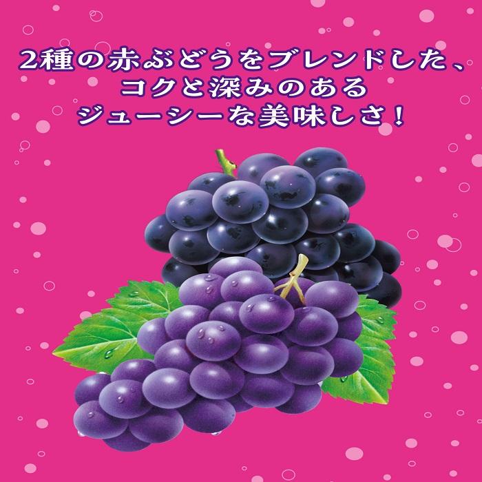 伊藤園（ITO EN） 2種のこだわりぶどうスカッシュ 450ml ペットボトル