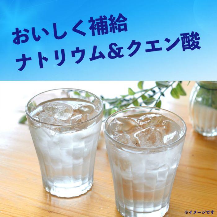 伊藤園（ITO EN） 冷梅 冷凍兼用 500g ペットボトル 48本 (24本入×2