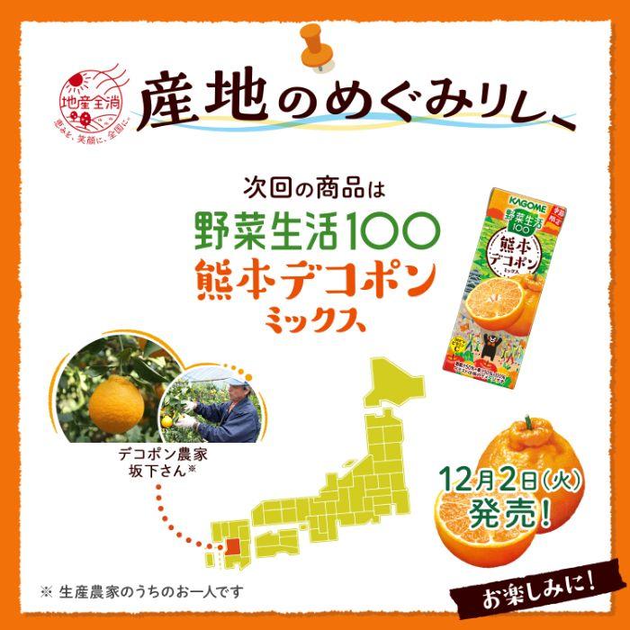 野菜生活100 カゴメ 有田みかんミックス 195ml 紙パック 96本 (24本入