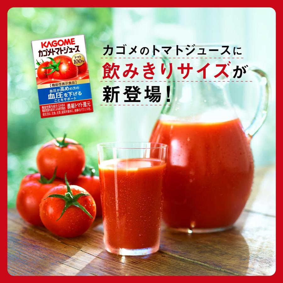 KAGOME（カゴメ） トマトジュース 食塩無添加 100ml 紙パック 90本 (30