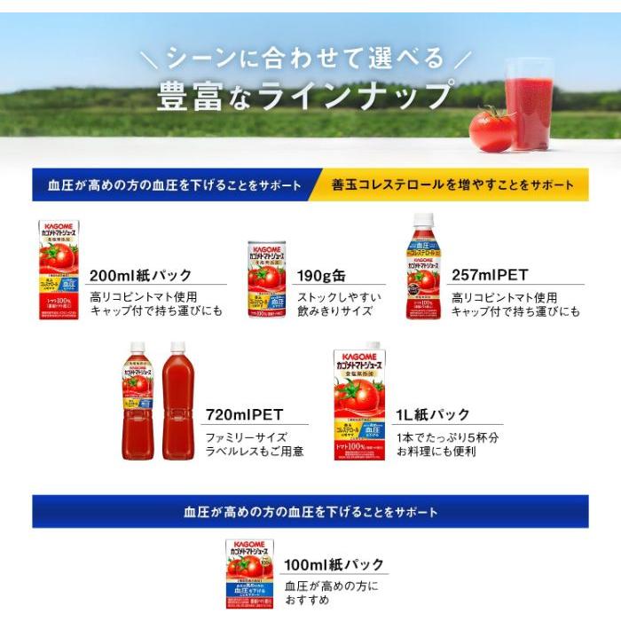 KAGOME（カゴメ） トマトジュース 食塩無添加 100ml 紙パック 30本入