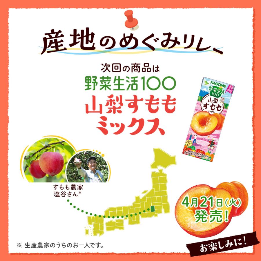 野菜生活100 カゴメ 広島ネーブルオレンジ&はっさくミックス 195ml 紙