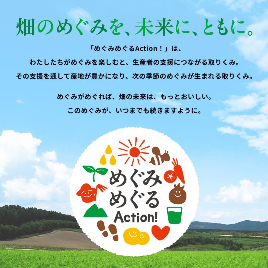 野菜生活100 カゴメ 本日の逸品 宮崎マンゴーミックス 195ml 紙パック