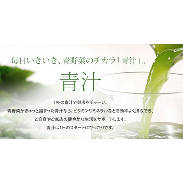 サンスター 健康道場 青汁 160g 缶 30本入 野菜ジュース あおじる