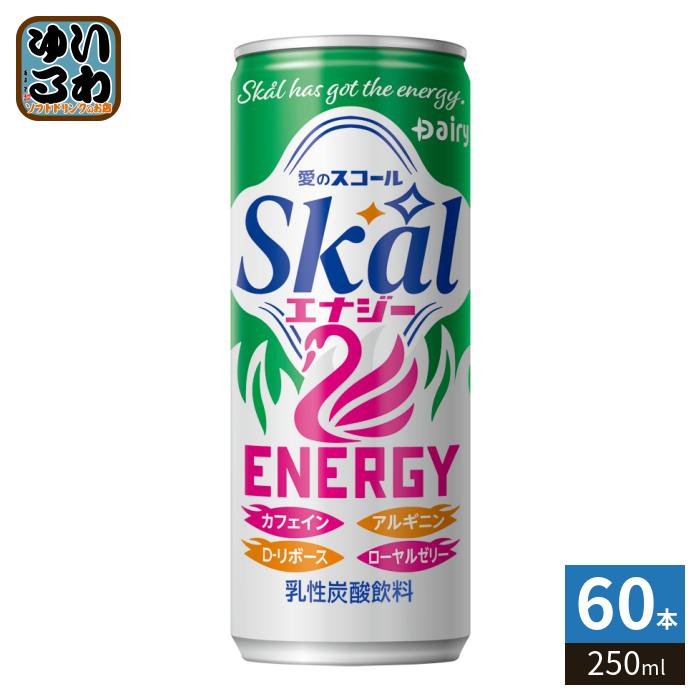 スコールエナジー250ml缶×60本 南日本酪農協同 南日本酪農 スコール エナジー 250ml 缶 60本 (20本入