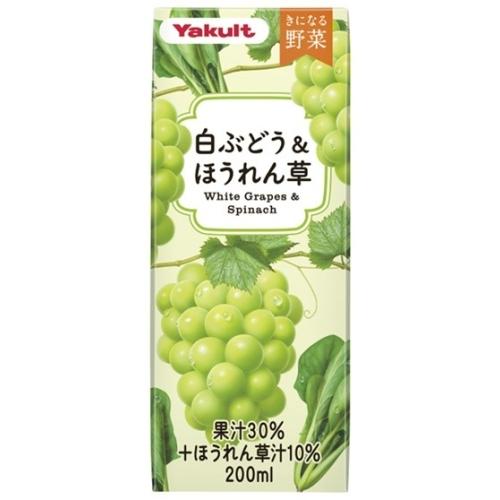 きになる野菜 ヤクルト 白ぶどう&ほうれん草 200ml 紙パック 48本 (24
