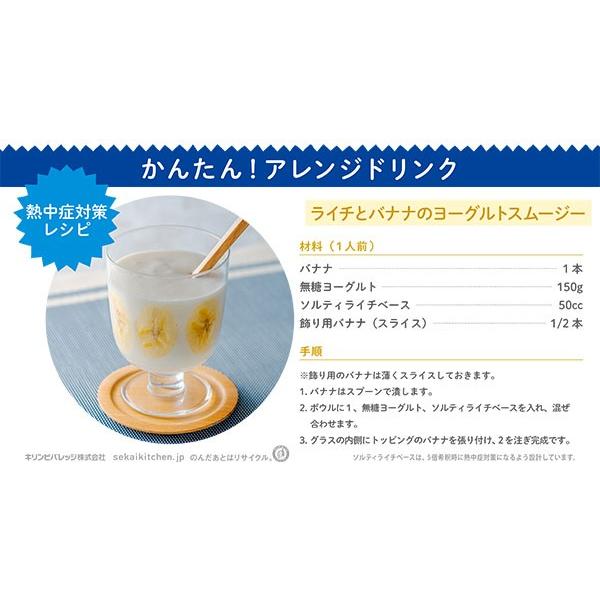 キリン 世界のKitchenから ソルティライチ ベース 500ml ペットボトル 48本 (24本入×2 まとめ買い) 〔果汁飲料〕｜softdrink｜05