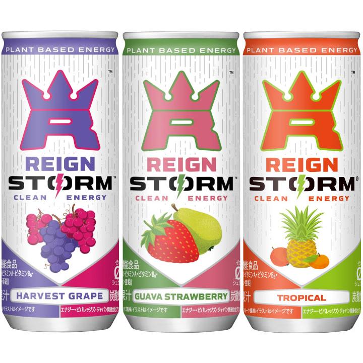 アサヒ（asahi） レインストーム 250ml 缶 選べる 60本 (30本×2