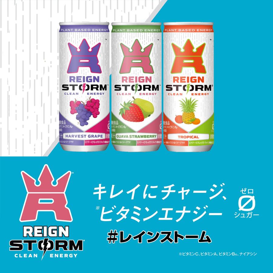 アサヒ（asahi） レインストーム 250ml 缶 選べる 60本 (30本×2