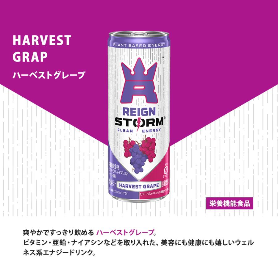 アサヒ（asahi） レインストーム 250ml 缶 選べる 60本 (30本×2