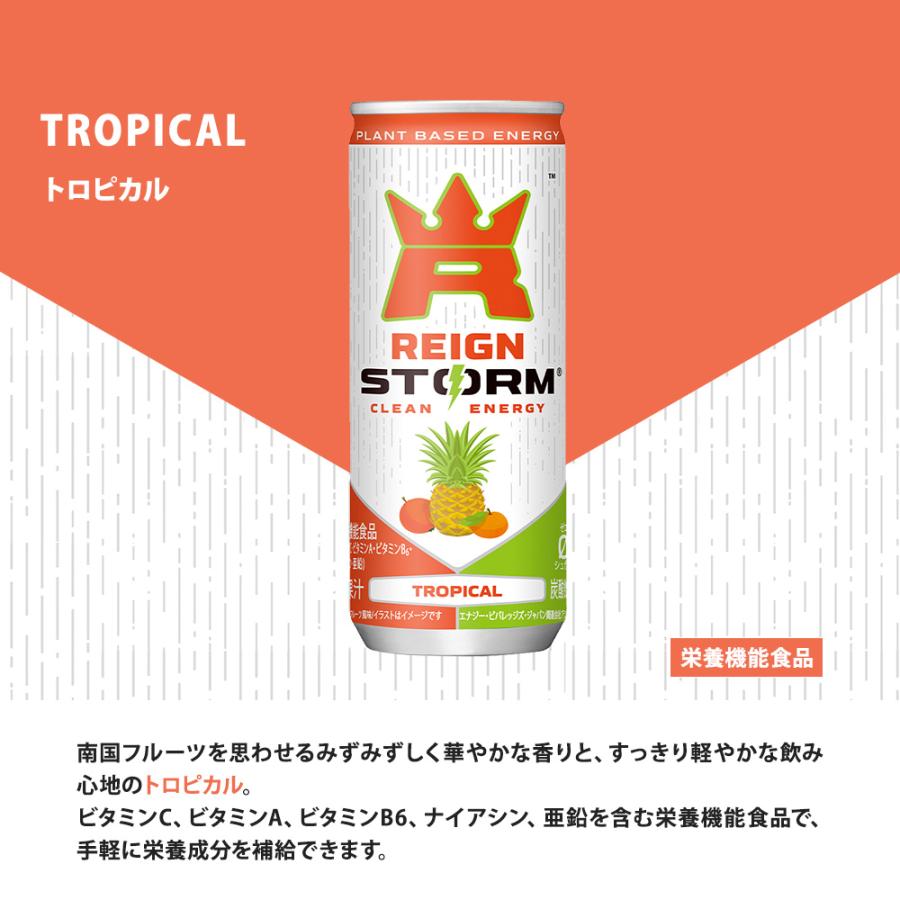アサヒ（asahi） レインストーム 250ml 缶 選べる 60本 (30本×2