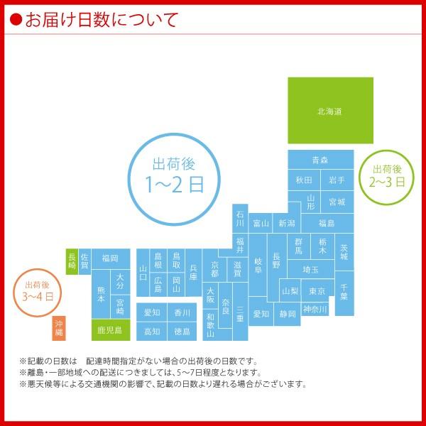 コカ・コーラ アクエリアス 2L ペットボトル 6本入 スポーツドリンク 熱中症対策｜softdrink｜04