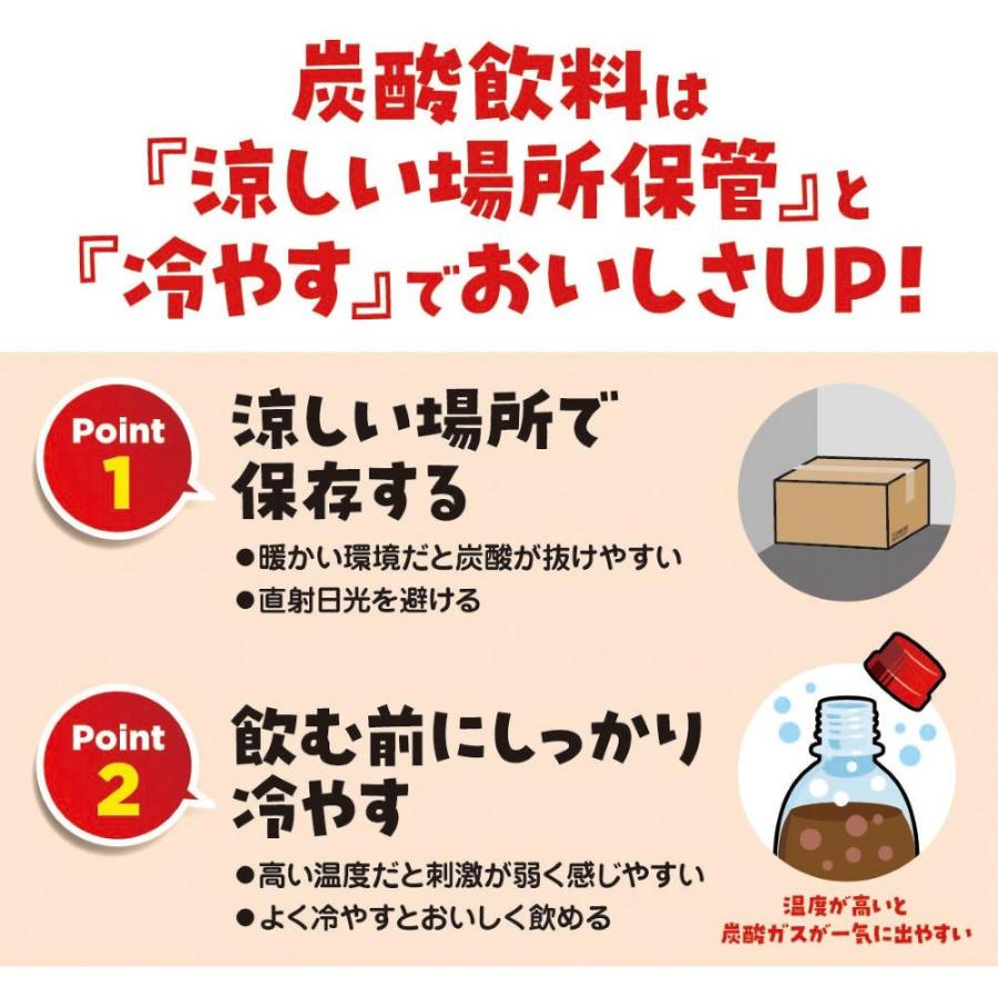 カナダドライ 〔ポイント10%対象！〕 コカ・コーラ ジンジャーエール