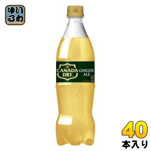 コカ・コーラ カナダドライ ジンジャーエール 700ml ペットボトル 40本