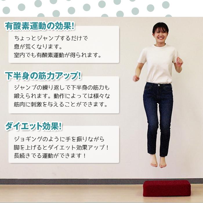 トランポリンクッション トランポリン クッション 運動不足解消 子供用 大人用 日本製 お手軽 家庭用 ダイエット 7777 Rkt480 スポンジ専門店ソフトプレン 通販 Yahoo ショッピング