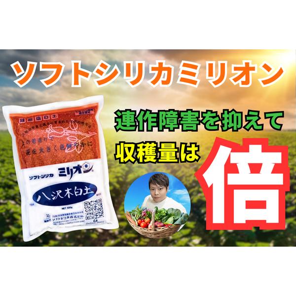ミリオン500g 30袋 ソフトシリカ 珪酸塩白土 モンモリロナイト 薔薇 バラ 土壌改良 根腐れ防止 家庭菜園 培養土 園芸用土_3