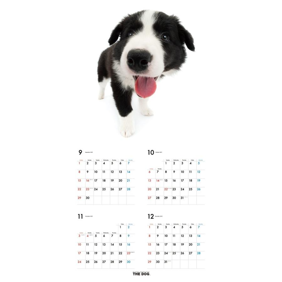 The Dog カレンダー ボーダーコリー 年カレンダー cl 1107 cl 1107 そふと屋プラチナ館 通販 Yahoo ショッピング