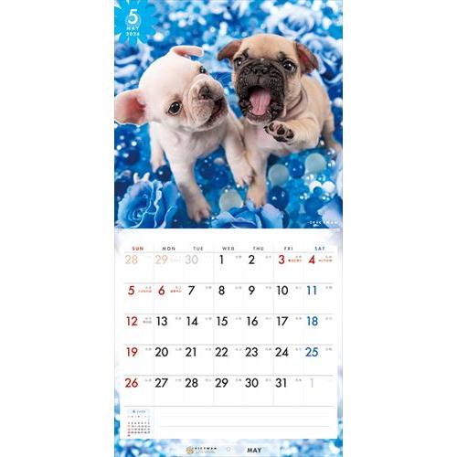 【おまけCL付】フレンチ・ブルドッグ PICTWAN (ピクトワン) カレンダー DOG 【S版】 2024年カレンダー 24CL-50037S｜softya2｜09