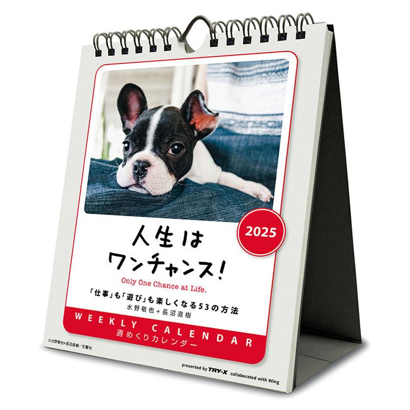 残りわずか!!】人生はワンチャンス! 卓上/壁掛 2025年カレンダー 25CL