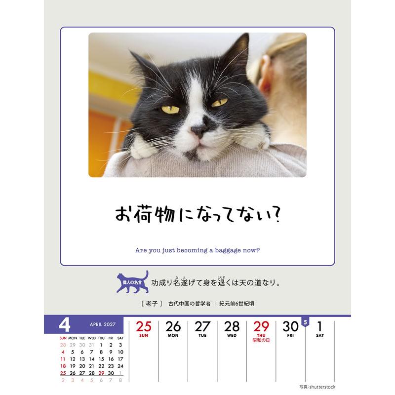 人生はニャンとかなる！ 卓上/壁掛 2027年 カレンダー 令和9年 27CL