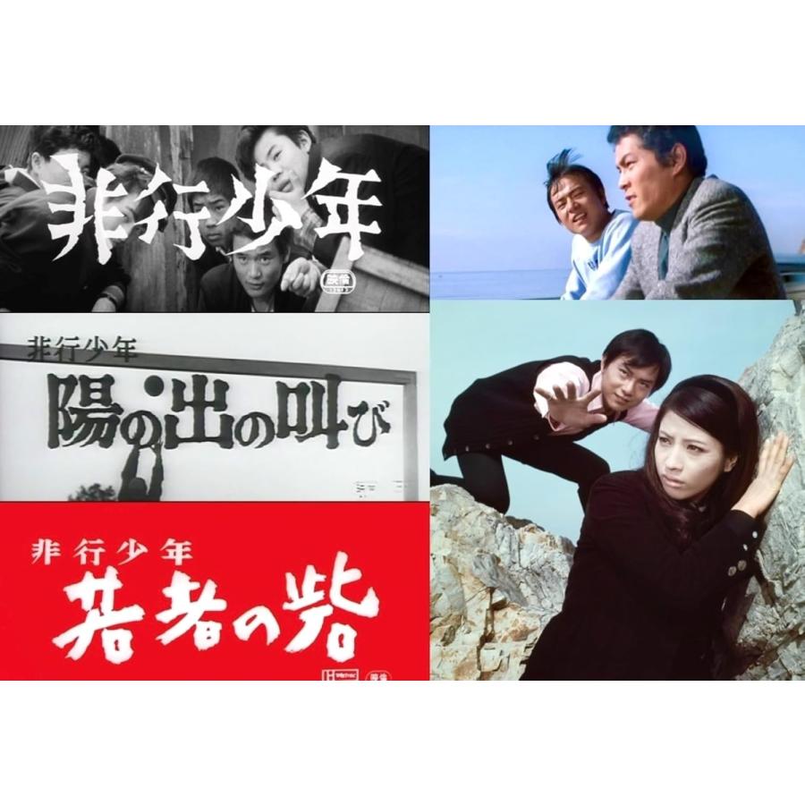 新品 劇映画 非行少年シリーズ(昭和の名作ライブラリー 第161集