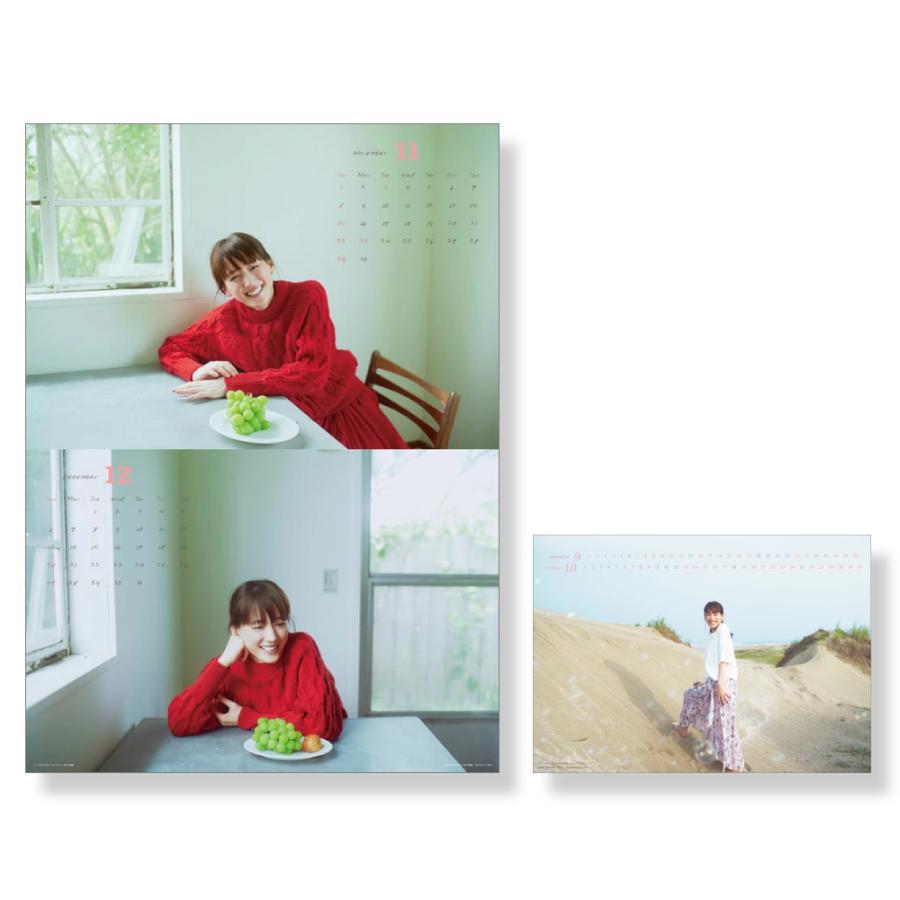 綾瀬はるか 壁掛け・卓上セット CL26-169 CL26-170 2026年 カレンダー