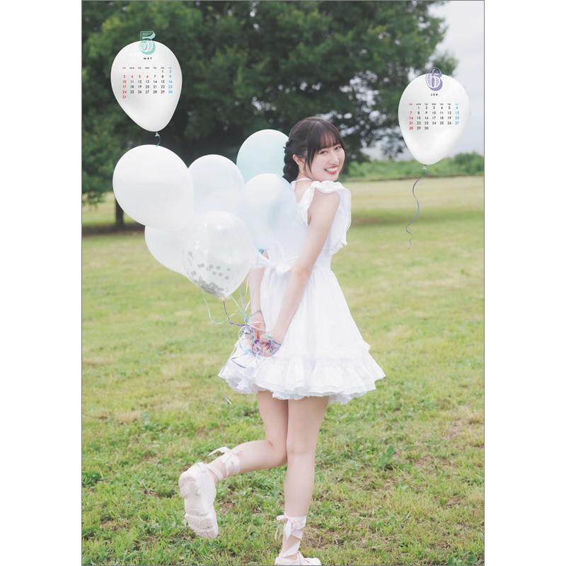 残りわずか】涼本あきほ 2026年 壁掛けカレンダー CL-206 CL26-206