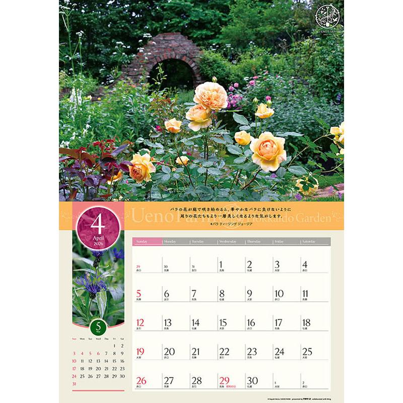 残りわずか】上野ファーム 北海道ガーデン 2026年 壁掛けカレンダー CL