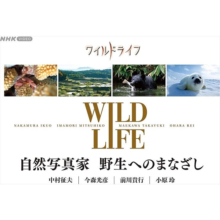 NHKエンタープライズ 新品 ワイルドライフ 自然写真家 野生への