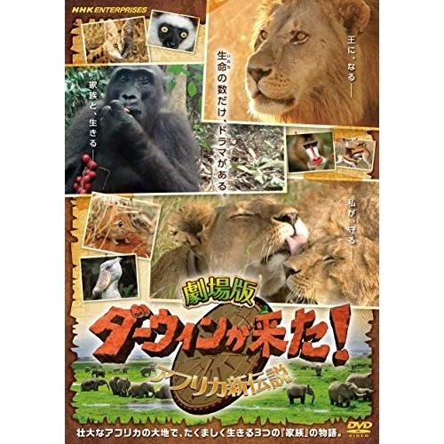 新品 劇場版 ダーウィンが来た! アフリカ新伝説 / (DVD) NSDS-23860-NHK｜softya2