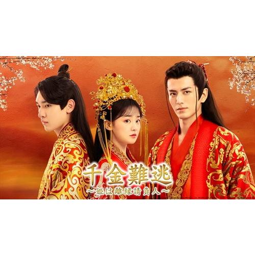新品 千金難逃〜姫は離縁請負人〜 DVD-BOX シンプルBOX 5,000円