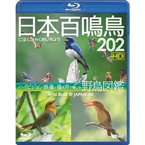 新品 シンフォレストBlu-ray 日本百鳴鳥 202 HD ハイビジョン映像と鳴き声で愉しむ野鳥図鑑 /  (Blu-ray) RDA16-TKO｜softya2