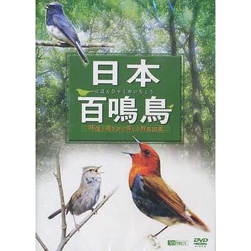 新品 日本百鳴鳥／映像と鳴き声で愉しむ野鳥図鑑 （DVD） SDA-84