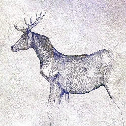 【おまけCL付】新品 馬と鹿(初回限定映像盤)(CD+DVD) / 米津玄師 (CDS+DVD) SECL2495-SK（Yahoo!・そふと屋プラチナ館）