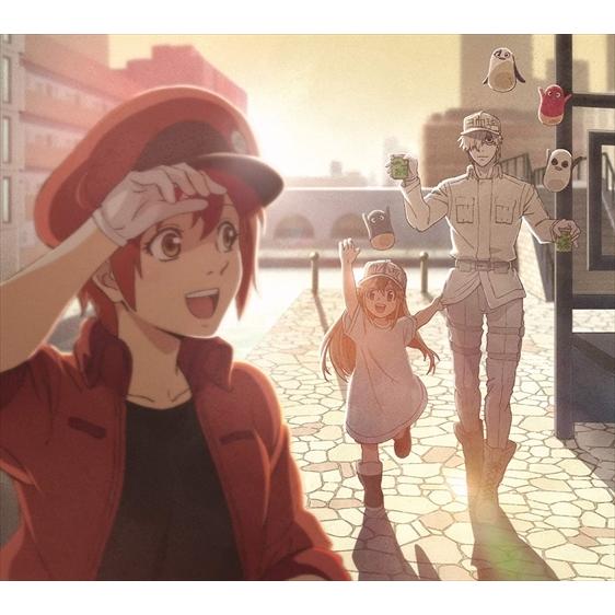 おまけ付 Fight 期間生産限定盤 アニメ盤 Claris クラリス Cds Dvd Vvcl1810 Sk Vvcl1810 Sk そふと屋プラチナ館 通販 Yahoo ショッピング