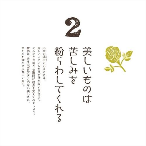 万年日めくりこころの匙加減 年カレンダー cl 0718 そふと屋 Paypayモール店 通販 Paypayモール