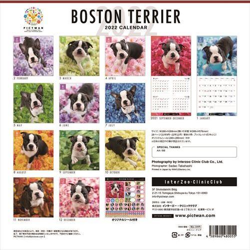人気の贈り物が ボストン テリア Pictwanカレンダー22年 Dog 22年カレンダー 22cl Riosmauricio Com
