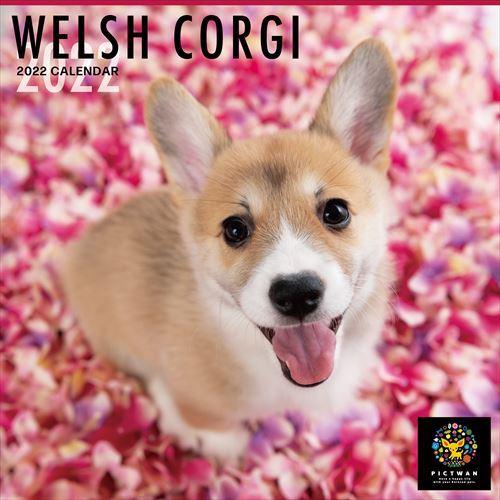 贈り物 21 09 18発売予定 ウェルシュ コーギー Pictwanカレンダー22年 Dog 22年カレンダー