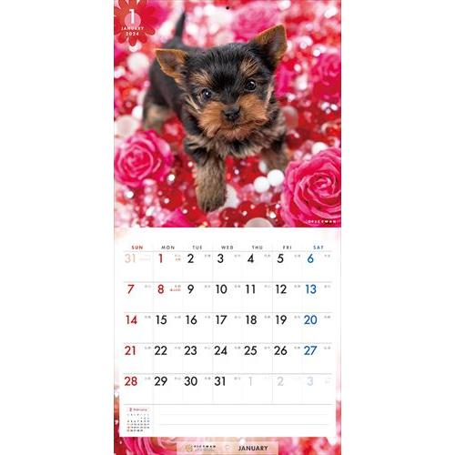 【おまけCL付】ヨークシャー・テリア PICTWAN (ピクトワン) カレンダー DOG 【S版】 2024年カレンダー 24CL-50045S｜softya｜05
