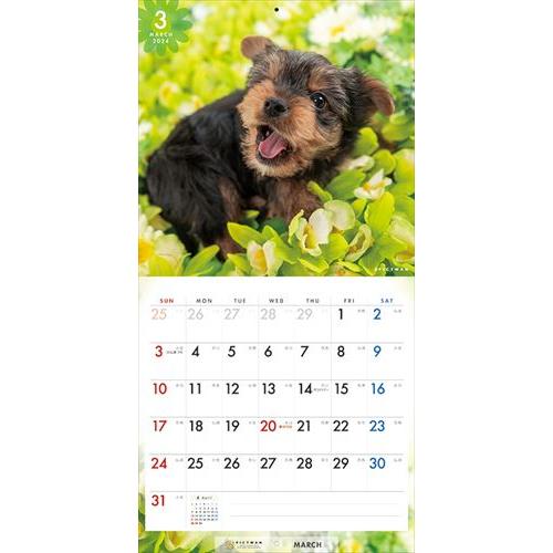 【おまけCL付】ヨークシャー・テリア PICTWAN (ピクトワン) カレンダー DOG 【S版】 2024年カレンダー 24CL-50045S｜softya｜07