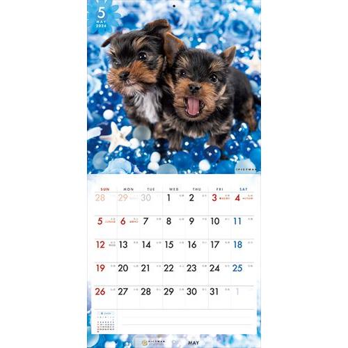 【おまけCL付】ヨークシャー・テリア PICTWAN (ピクトワン) カレンダー DOG 【S版】 2024年カレンダー 24CL-50045S｜softya｜09