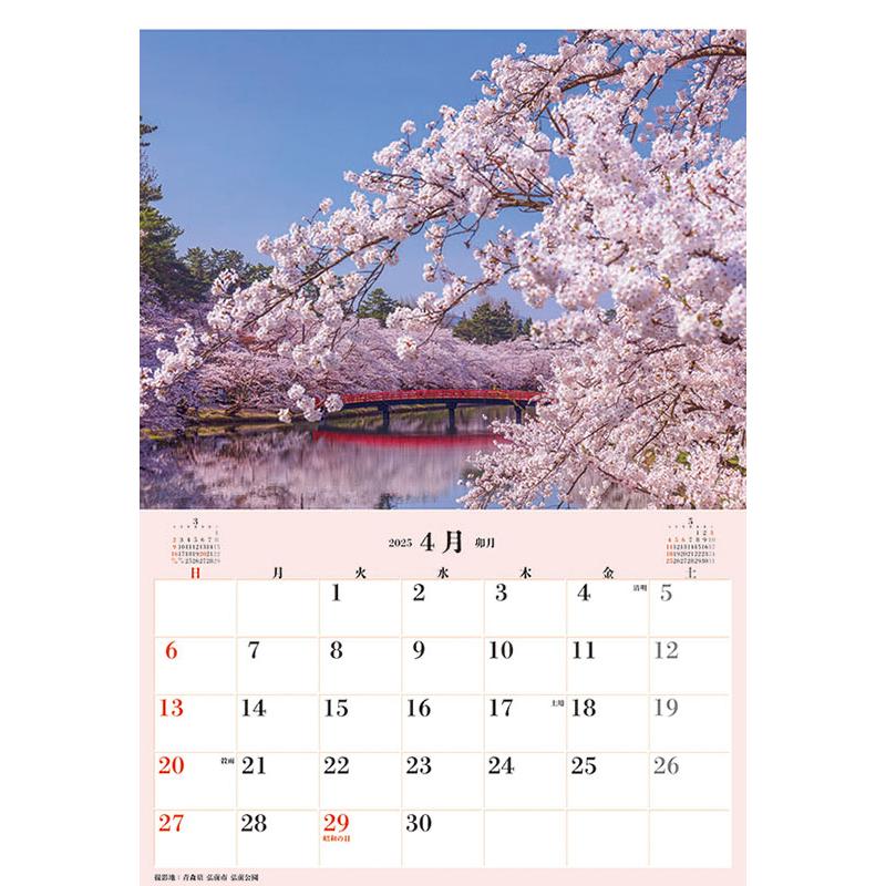 残りわずか!!】ジャンボ「日本の桜」スケジュール 2025年 壁掛け