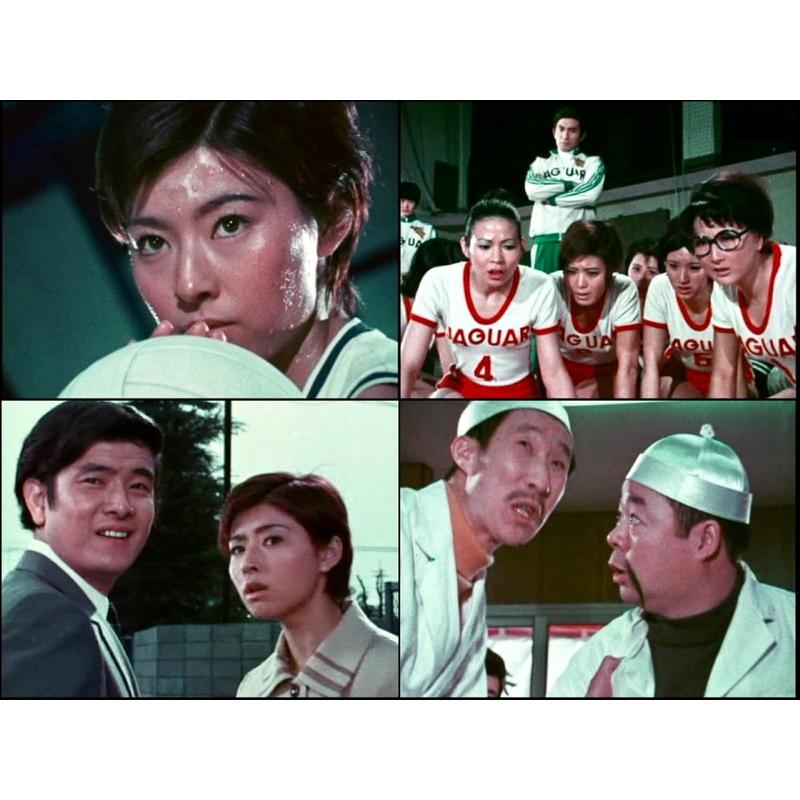 【おまけCL付】新品 ワン・ツウ アタック！ コレクターズDVD ＜HDリマスター版＞【昭和の名作ライブラリー 第176集】 / 大田黒久美(3DVD) BFTD560の画像