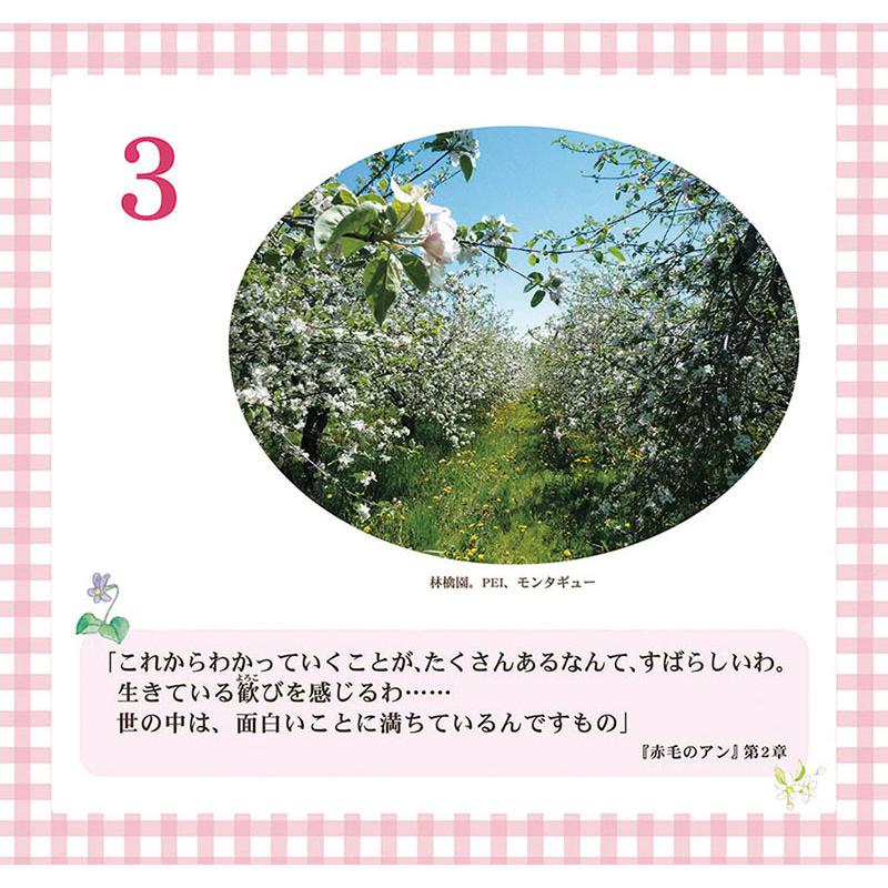 2026/09/19発売予定! 万年日めくり 「赤毛のアン」の幸せになる61の言葉 2027年 カレンダー 令和9年 27CL-745 |  | 03