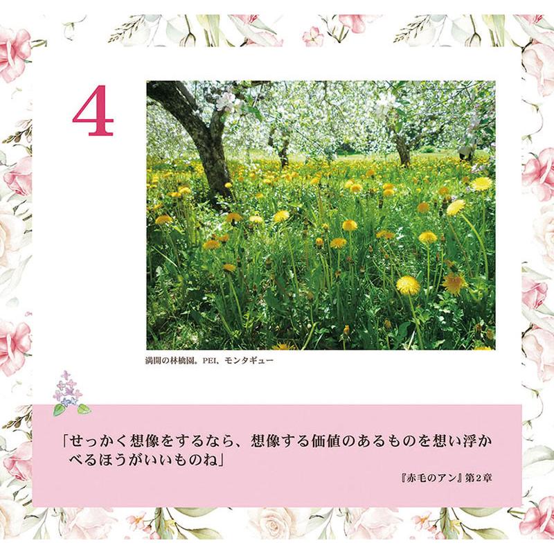 2026/09/19発売予定! 万年日めくり 「赤毛のアン」の幸せになる61の言葉 2027年 カレンダー 令和9年 27CL-745 |  | 04