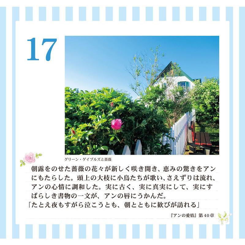 2026/09/19発売予定! 万年日めくり 「赤毛のアン」の幸せになる61の言葉 2027年 カレンダー 令和9年 27CL-745 |  | 09