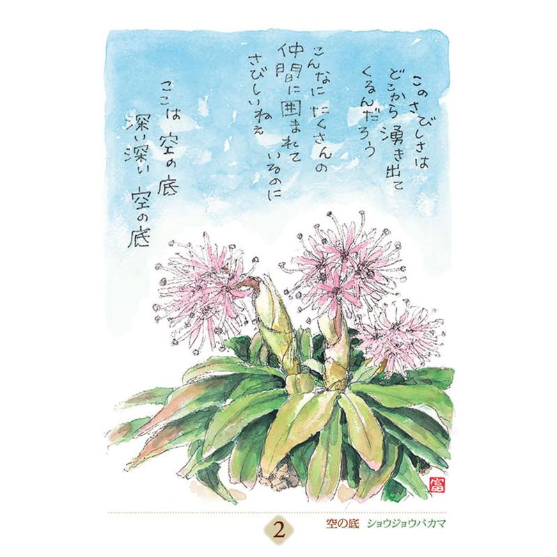 万年 星野富弘 31枚の詩画日めくり どうしても必要なものはただひとつ 2027年 カレンダー 令和9年 27CL-747 |  | 01