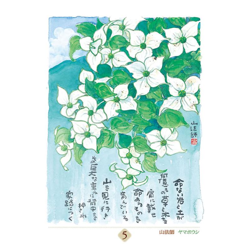 万年 星野富弘 31枚の詩画日めくり どうしても必要なものはただひとつ 2027年 カレンダー 令和9年 27CL-747 |  | 02