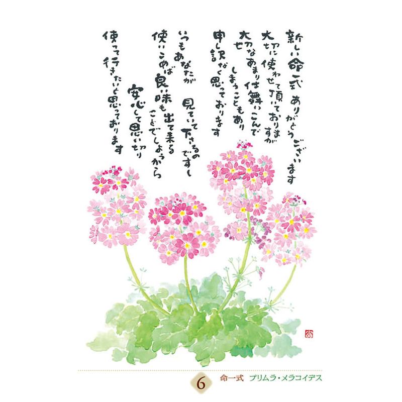 万年 星野富弘 31枚の詩画日めくり どうしても必要なものはただひとつ 2027年 カレンダー 令和9年 27CL-747 |  | 03